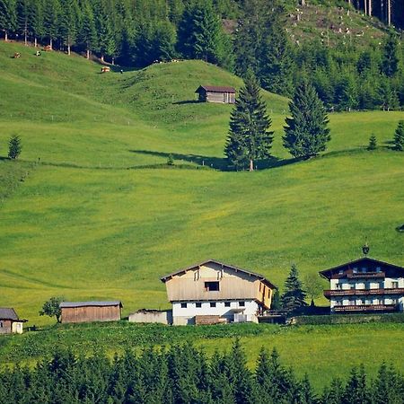 Apartmán Ferienhaus Hochwimmer Hollersbach im Pinzgau Exteriér fotografie