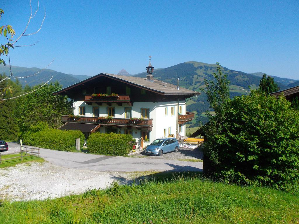 Apartmán Ferienhaus Hochwimmer Hollersbach im Pinzgau Exteriér fotografie