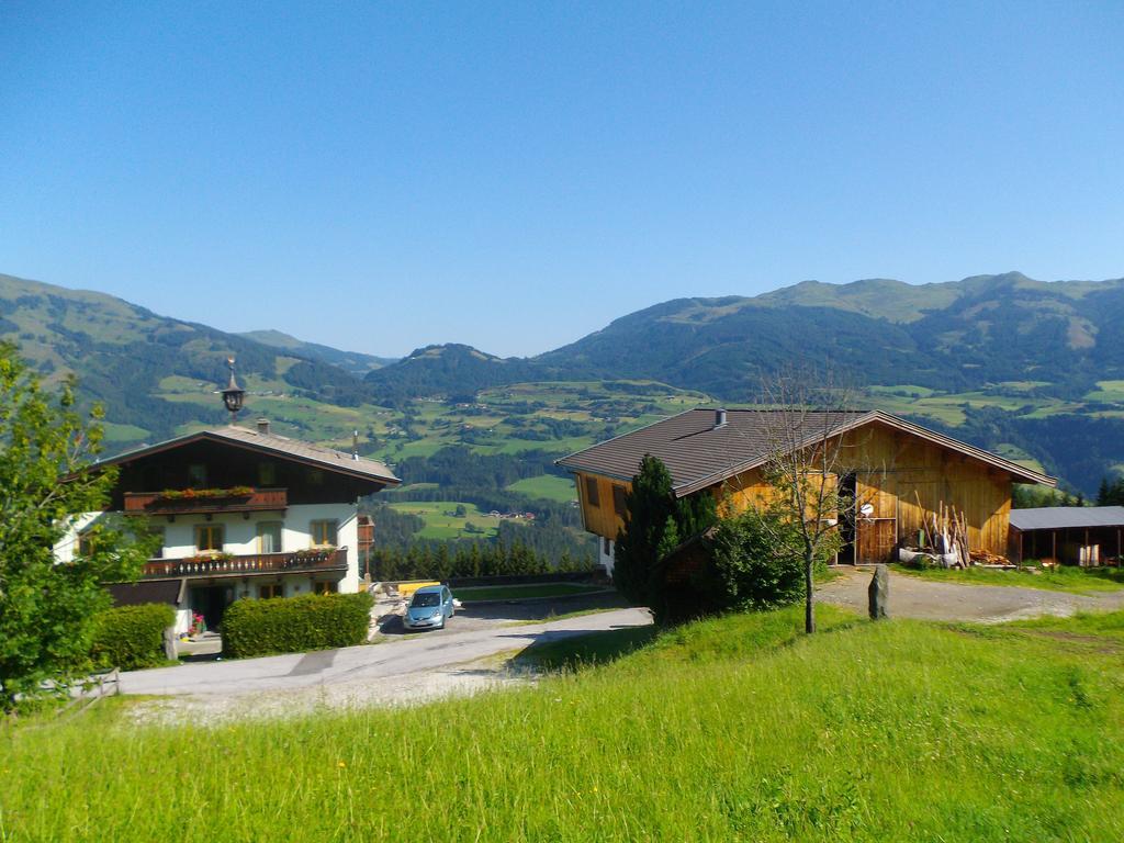 Apartmán Ferienhaus Hochwimmer Hollersbach im Pinzgau Exteriér fotografie