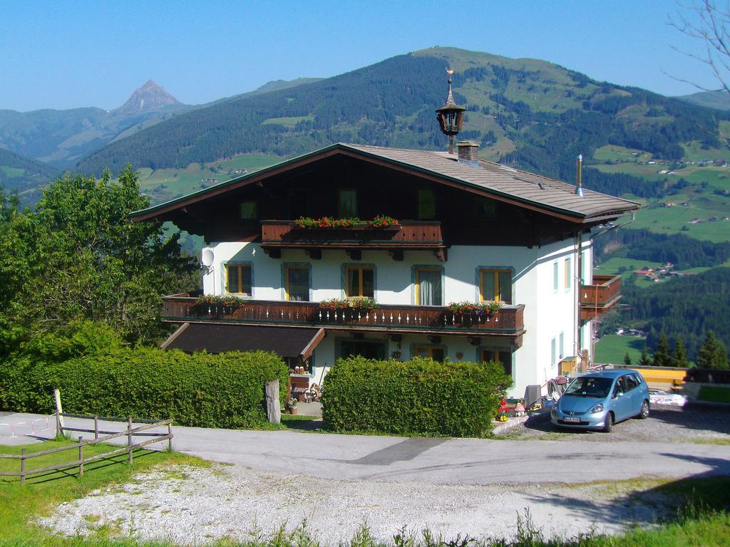 Apartmán Ferienhaus Hochwimmer Hollersbach im Pinzgau Exteriér fotografie