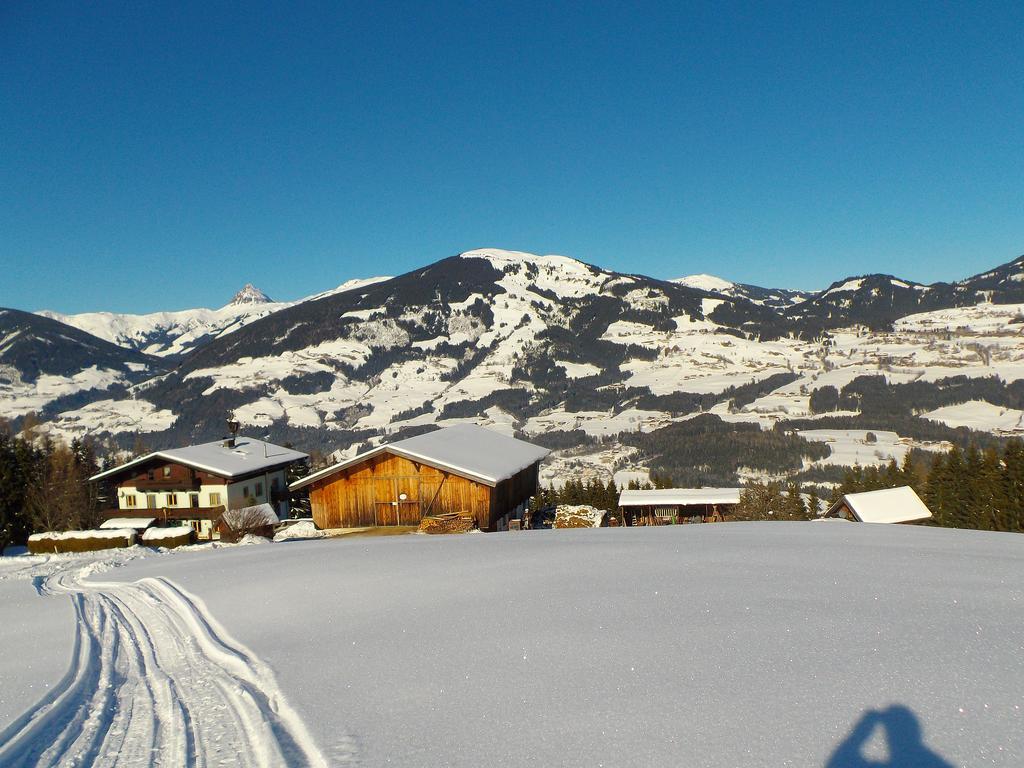 Apartmán Ferienhaus Hochwimmer Hollersbach im Pinzgau Exteriér fotografie