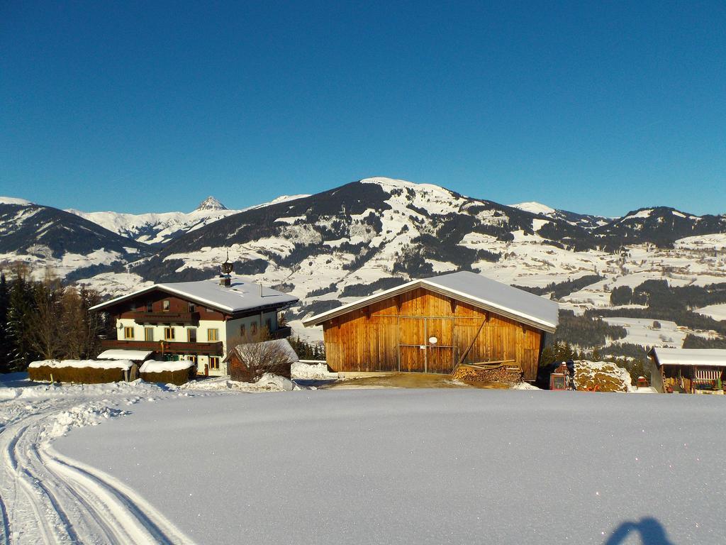 Apartmán Ferienhaus Hochwimmer Hollersbach im Pinzgau Exteriér fotografie