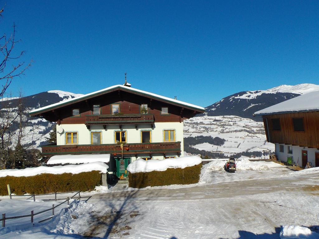 Apartmán Ferienhaus Hochwimmer Hollersbach im Pinzgau Exteriér fotografie