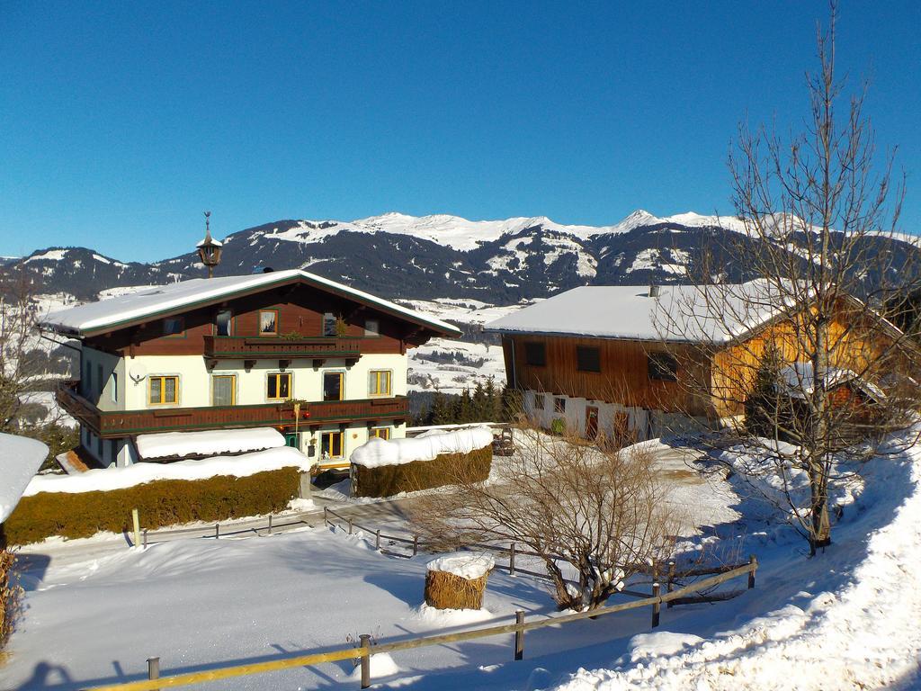 Apartmán Ferienhaus Hochwimmer Hollersbach im Pinzgau Exteriér fotografie