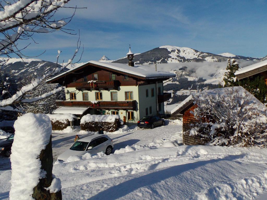 Apartmán Ferienhaus Hochwimmer Hollersbach im Pinzgau Exteriér fotografie