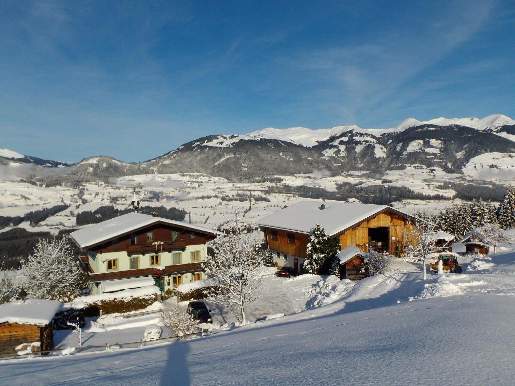 Apartmán Ferienhaus Hochwimmer Hollersbach im Pinzgau Exteriér fotografie