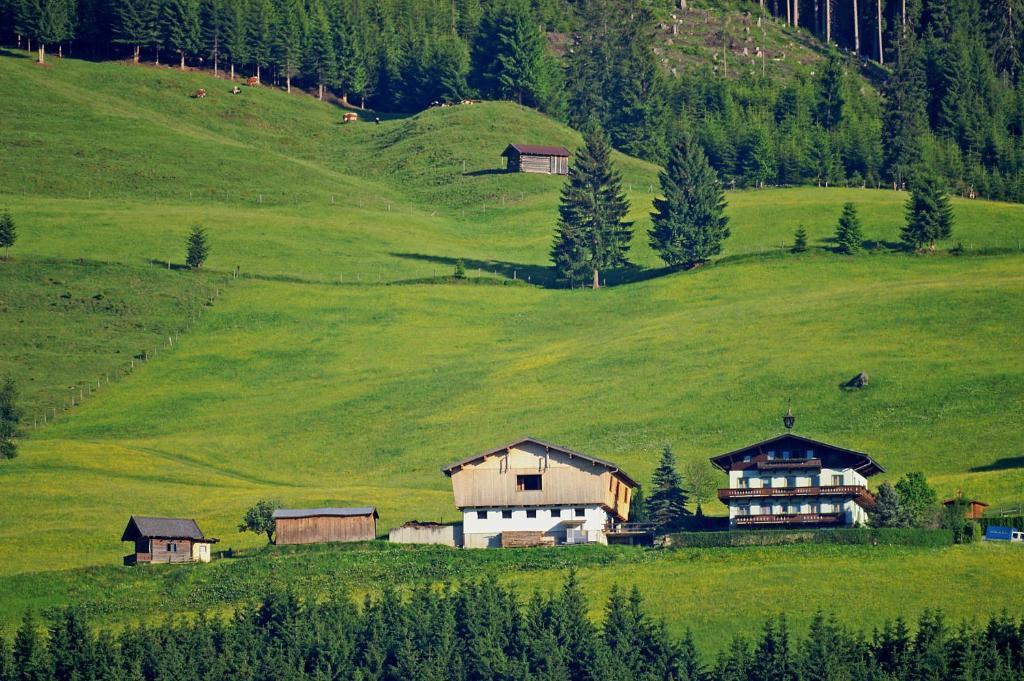 Apartmán Ferienhaus Hochwimmer Hollersbach im Pinzgau Exteriér fotografie